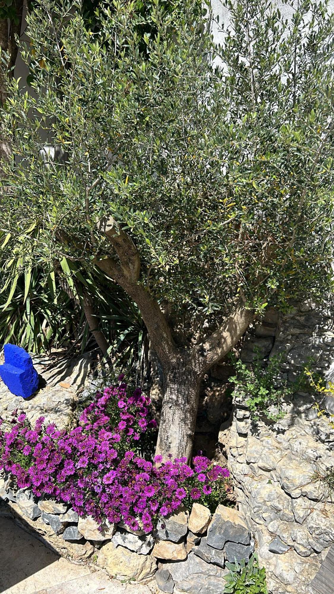 Mas Saint Laurent Les Salles-du-Gardon Εξωτερικό φωτογραφία